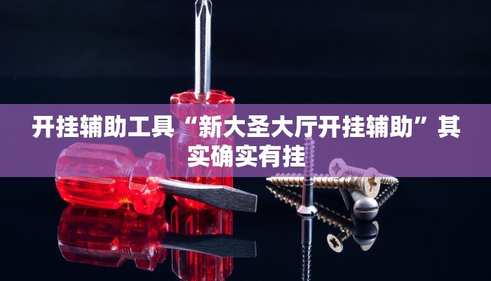 开挂辅助工具“新大圣大厅开挂辅助”其实确实有挂