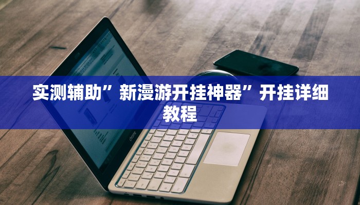 实测辅助”新漫游开挂神器”开挂详细教程