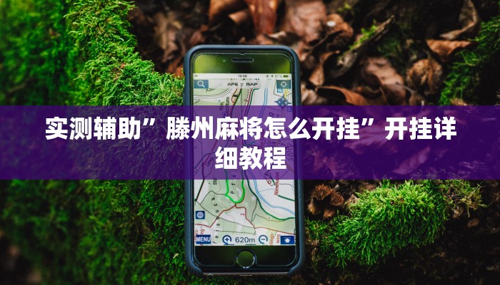 实测辅助”滕州麻将怎么开挂”开挂详细教程