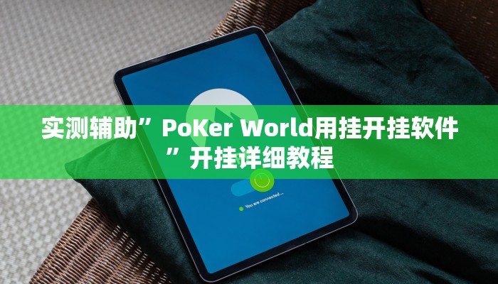 实测辅助”PoKer World用挂开挂软件”开挂详细教程
