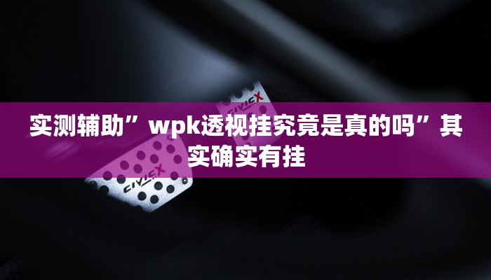 实测辅助”wpk透视挂究竟是真的吗”其实确实有挂
