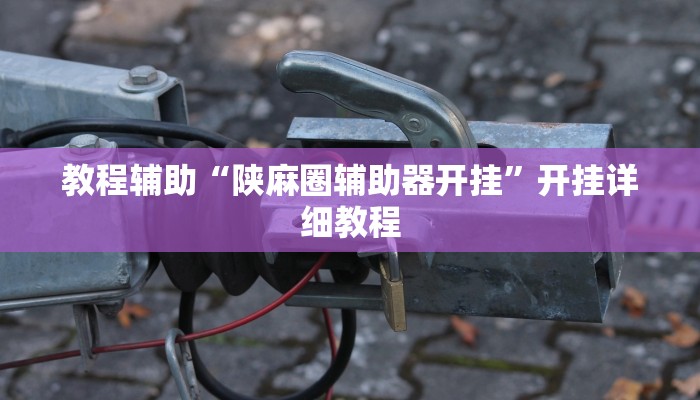教程辅助“陕麻圈辅助器开挂”开挂详细教程