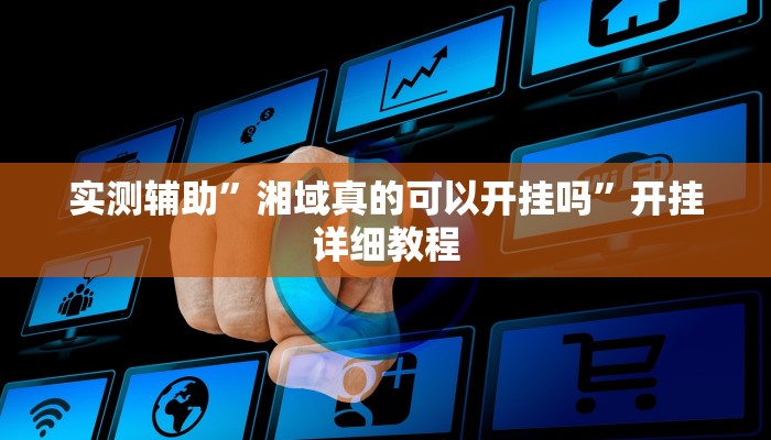 实测辅助”湘域真的可以开挂吗”开挂详细教程