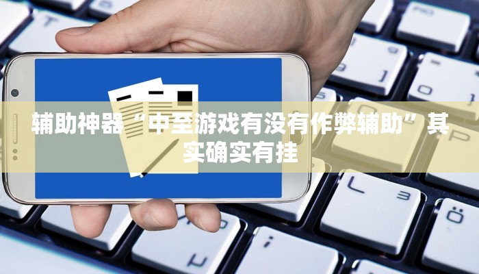 辅助神器“中至游戏有没有作弊辅助”其实确实有挂