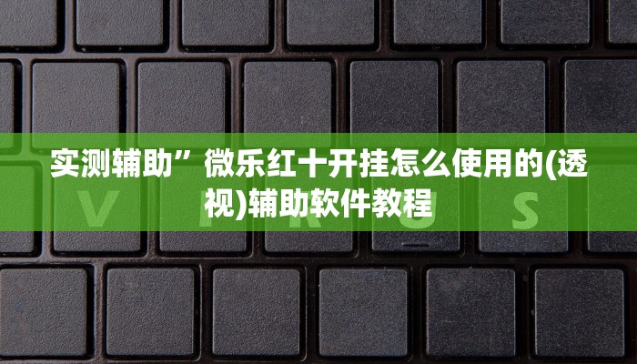 实测辅助”微乐红十开挂怎么使用的(透视)辅助软件教程