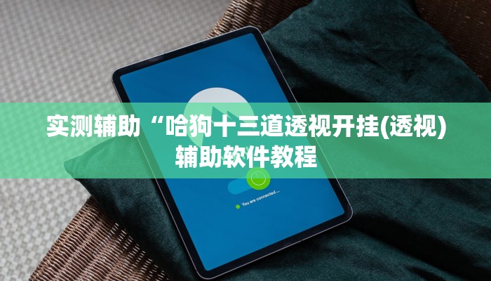 实测辅助“哈狗十三道透视开挂(透视)辅助软件教程