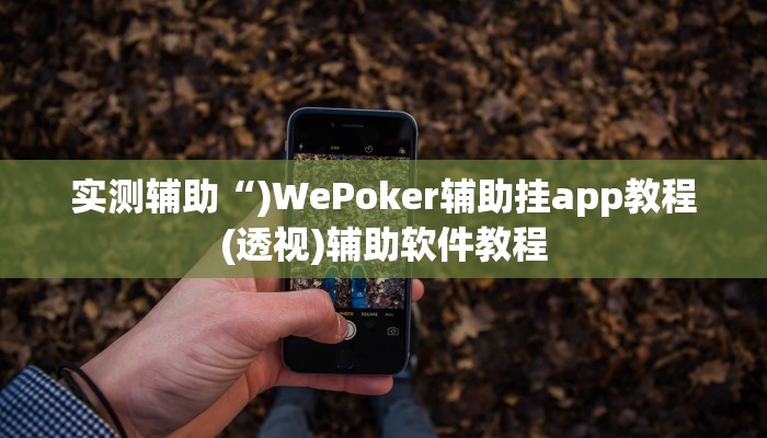 实测辅助“)WePoker辅助挂app教程(透视)辅助软件教程