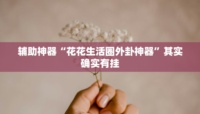 辅助神器“花花生活圈外卦神器”其实确实有挂