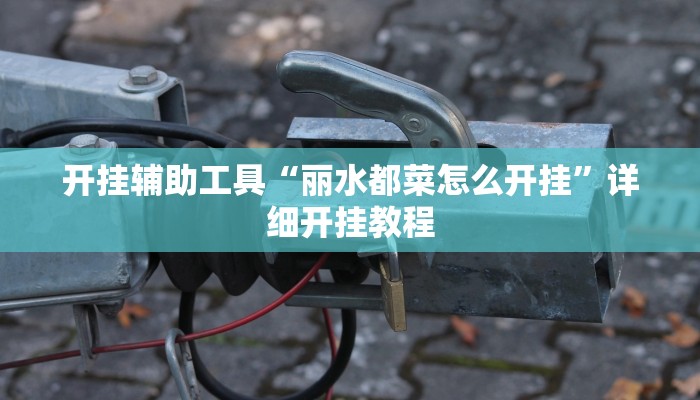 开挂辅助工具“丽水都菜怎么开挂”详细开挂教程