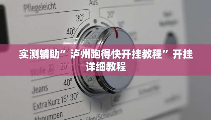 实测辅助”泸州跑得快开挂教程”开挂详细教程